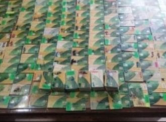 كيف تضم الأولاد والزوجة على بطاقة تموين واحدة؟ اعرف الأوراق المطلوبة