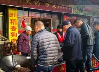 غضب واسع بسبب توصية فندقية بتناول لحوم الكلاب فى الصين