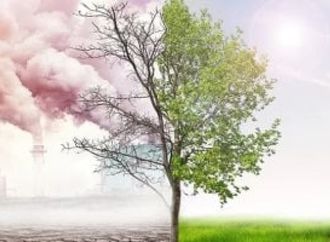 فى يوم البيئة العالمى.. تقرير يكشف عن الاعتداءات على التغطية البيئية
