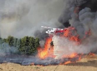 حرائق الغابات في أستراليا تدمّر المنازل وتقطع الكهرباء عن 38 ألف مبنى