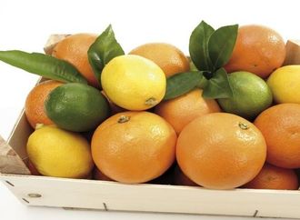 فوائد روائح الحمضيات للجهاز العصبي