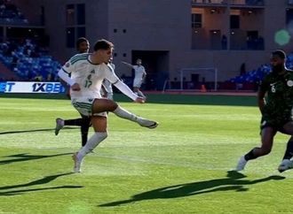 هل تغاضى الحكم عن ركلة جزاء "واضحة" للجزائر أمام نيجيريا؟ (فيديو)