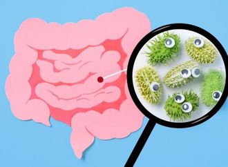 اكتشاف سبب للتراجع السريع في مناعة الأمعاء