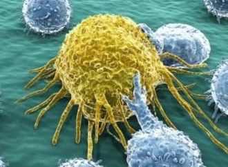 ثورة فى علاج السرطان.. بكتيريا ذكية تستهدف الورم وتدمره من الداخل