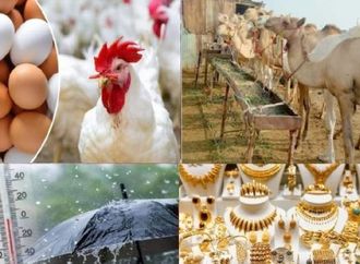 أخبار التوك شو| اتحاد المنتجين يزف أخبارا سارة بشأن الدواجن والبيض.. هل يجوز الأضحية بـ أرنب؟.. مفاجأة بشأن الذهب والدولار والطقس