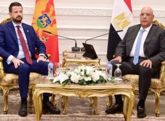 رئيس مجلس النواب يُشيد بمواقف الجبل الأسود الداعمة للقضية الفلسطينية