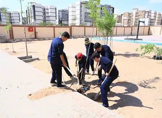 وزيرة التنمية المحلية توجه بزراعة 150 شجرة متنوعة بمدرسة الكرنك في بدر