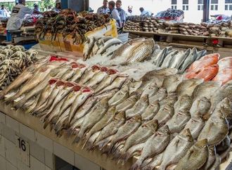مفاجأة في سوق السمك اليوم.. انخفاض أسعار الجمبري والبلطي