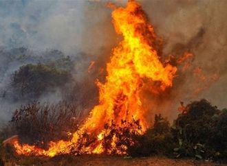 أستراليا تعلن حالة الكوارث جراء الحرائق وفقدان أشخاص بينهم طفل