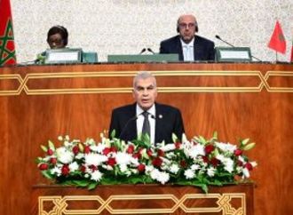 رئيس مجلس الشيوخ: نؤمن أن مستقبل أفريقيا يُصنع بأيدي أبنائها