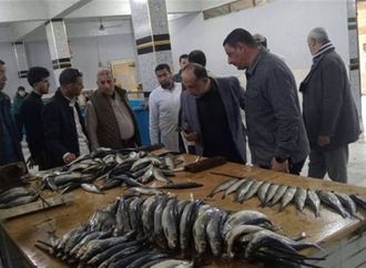 ضبط أكثر من 16 طن أسماك مملحة ومدخنة خلال حملات رقابية بالشرقية