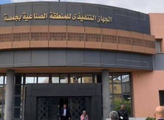 المنطقة الصناعية بجمصة.. توسعات جديدة تعزز مكانتها كقلعة صناعية في الدلتا