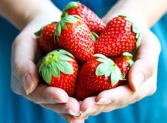 الفراولة تقود صادرات السلع الزراعية للارتفاع لـ4 مليارات و284 مليون دولار