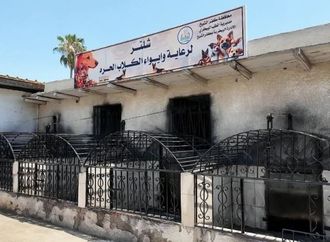 وكيل نقابة الأطباء البيطريين يحذر من إطعام الكلاب بمخلفات الطعام.. ويدعو لتفعيل مراكز الإيواء