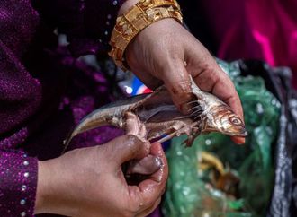 بينها عدم الإسراف في تناول الفسيخ.. الصحة المصرية تشارك نصائح مهمة للاحتفال بشم النسيم في مصر