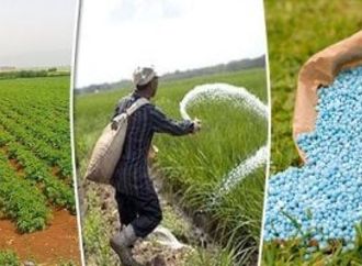 تقرير رسمي من المحاسبات.. مصر للكيماويات تحتفظ بأموال عاطلة وتبيع بالخسارة