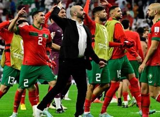 تعرف علي تاريخ مشاركات المنتخبات العربية في كأس العالم