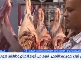 متحدث الهيئة العامة للخدمات البيطرية يقدم نصائح لشراء وتخزين لحوم العيد
