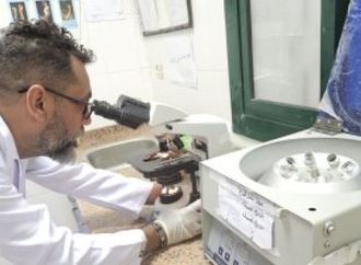  هل يخبرك اختبار الجينوم عن أصولك ومن أين أتى أجدادك؟