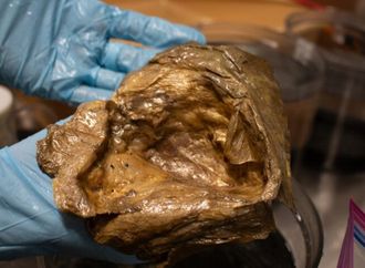 بعد عامين من الغموض.. علماء يفكون لغز "الكرة الذهبية" في قاع المحيط