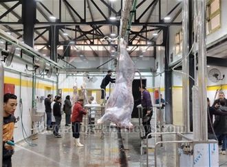 ضمن موازنة وزارة التنمية المحلية والبيئة.. التشغيل التجريبي لمجزر أبو كبير بمحافظة الشرقية