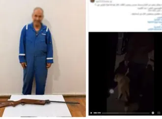 ضبط متهم بالتعدي على الكلاب الضالة بالإسماعيلية