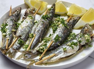 كنز السردين.. غذاء يدعم صحة البشرة ويبطئ الشيخوخة