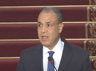 وزير الخارجية: مصر لن تتوانى عن تقديم الدعم للأشقاء في الساحل الأفريقي