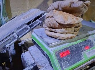 تحرير 11 محضرًا بمخابز 5 قرى بالغربية