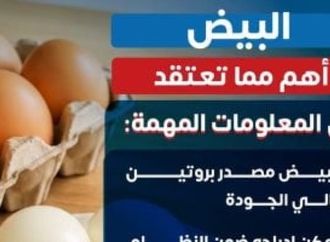 «البيض أهم مما تعتقد».. وزارة الصحة: التوازن في تناوله مفتاح التغذية السليمة 