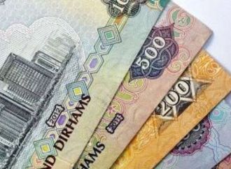 بكام الدرهم الإماراتي النهارده؟.. أحدث أسعار الصرف أمام الجنيه المصري
