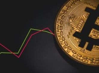 "بيتكوين" يتراجع دون 81 ألف دولار.. وتحركات المحافظ المؤسسية تعزز آمال التعافى