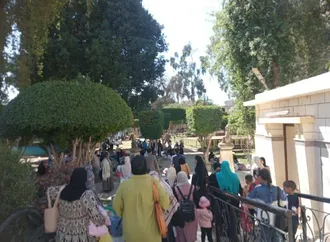 التنمية المحلية: لم نرصد أي معوقات تؤثر على سير احتفالات شم النسيم