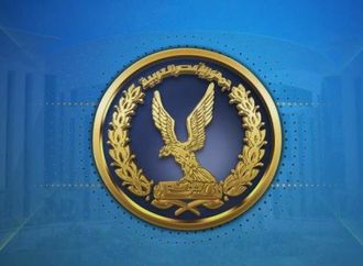 ضبط سيدة اعتدت على شقيقتها من ذوي الهمم بعصا خشبية في الغربية
