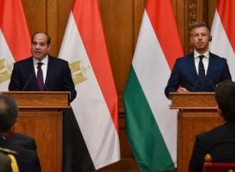 فخامة الرئيس السيسى: ماكس هرتس معمارى مجرى اضطلع بدور مهم فى حفظ وترميم الآثار الإسلامية والقبطية