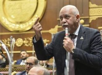 النائب حازم الجندى: فخامة الرئيس السيسى يقود تحركا دوليا يعزز نفوذ القاهرة