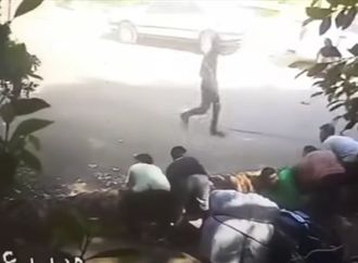 سقوط نخلة على شاب بالمعادى والأهالي تناشد بمساعدته لاجراء جراحة