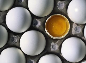 السلطات الأمريكية تسحب كميات ضخمة من البيض بسبب مخاوف من السالمونيلا