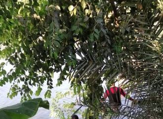 مأساة بالفيوم.. غرق طفل في بحر يوسف أمام السواقي وفرق الإنقاذ تواصل البحث عن جثمانه