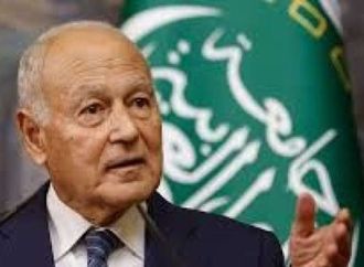 أبو الغيط يأسف لعدم نجاح مؤتمر المراجعة لمعاهدة عدم انتشار الأسلحة النووية