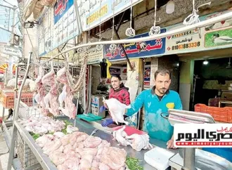 زيادة «الطلب والتكاليف» ترفع أسعار الدواجن بالأسواق بنسبة 25%