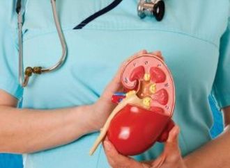 لو مريض كلى.. اعرف ضوابط الصيام خلال شهر رمضان