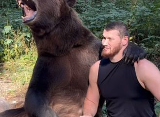 مخمادوف: مصارعة الدب إعداد جيد لنزال فيوري