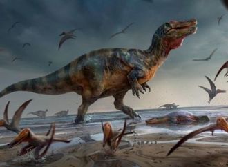 هل تعود الديناصورات للحياة؟ دراسة حديثة تفجر مفاجأة علمية.. وبعد 70 مليون عام علماء يعيدون بناء عش ديناصور كامل