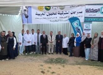 مدير مديرية الطب البيطرى بالشرقية: قدمنا خدمات متكاملة لرعاية الخيول المشاركة فى المهرجان