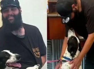 بعد 8 أشهر من الغياب.. صورة على فيسبوك تعيد كلبًا إلى صاحبه