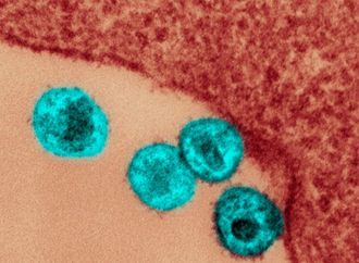 يحملها شقيقه.. طفرة جينية نادرة تنهي معاناة "مريض أوسلو" مع الإيدز والسرطان معا!