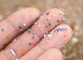 مصادر مفاجئة للبلاستيك الدقيق في غذائنا اليومي