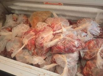 ضبط 10 أطنان أدوية بيطرية مجهولة المصدر و150 كيلوجراما لحوم غير صالحة للاستهلاك بالمنوفية