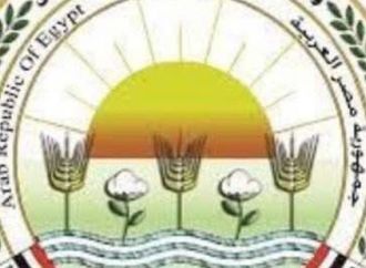 "الزراعة": تحصين 2.1 مليون رأس ماشية ضمن الحملة القومية ضد الجلد العقدي وجدري الأغنام